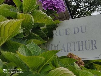 Le Roi Arthur au Pays des Hortensias